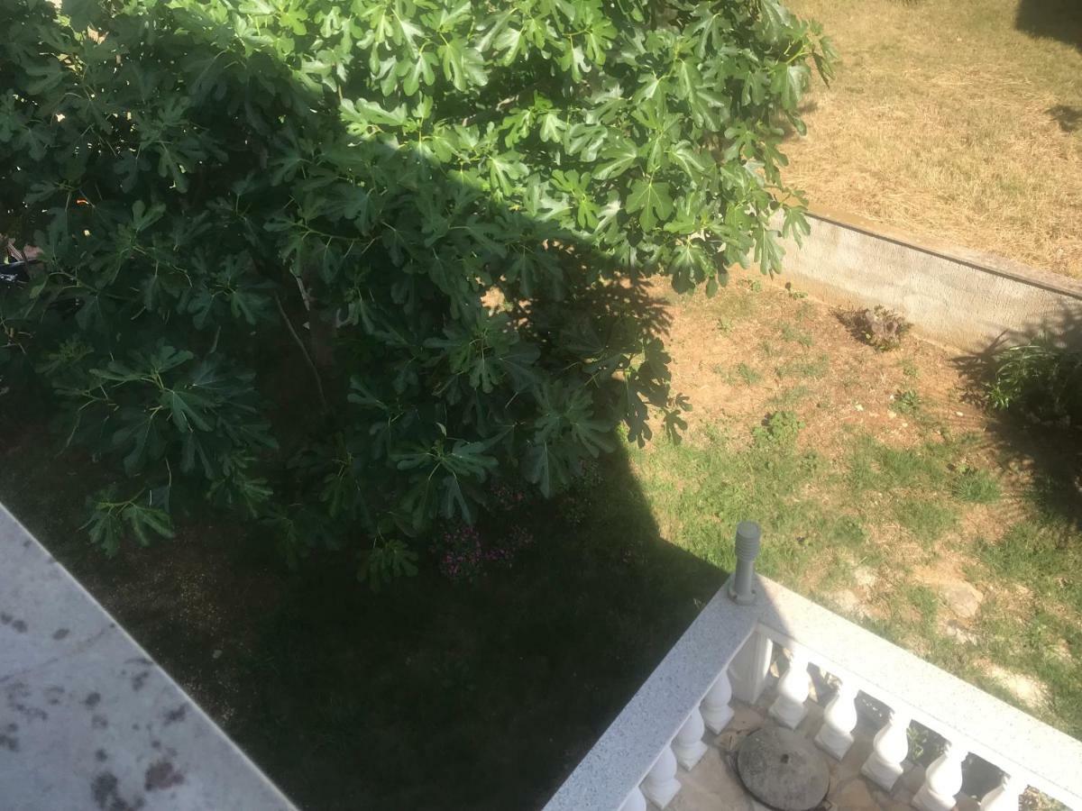 ויר Apartman Petra 2 מראה חיצוני תמונה